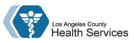 Los Angeles Health Services